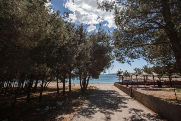 Apartman Franc S Vir Exterior photo